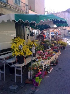 Markt in Apt - sooooooo viele Blumenhändler